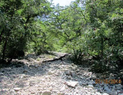 Fig. 10. Cañada número uno, el bosque invadido por los no tan “pasivos” ambientales de las minas.