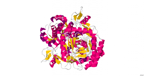 Nitric_Oxide_Synthase