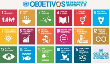Figura 1. Objetivos de desarrollo sustentable.