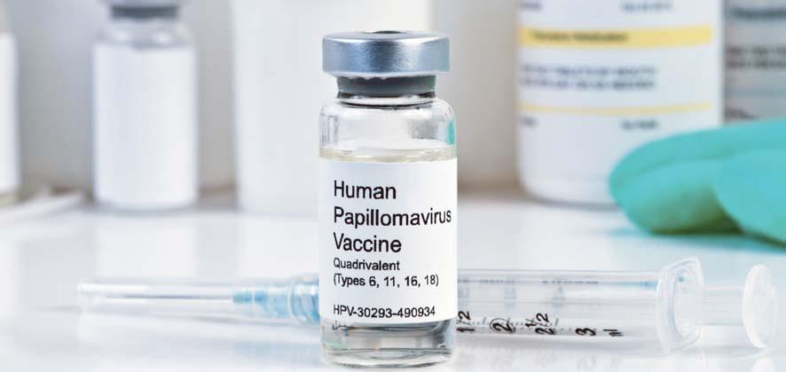human_papillomavirus